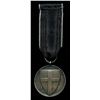 Image 2 : German Medal of the Iron Division, 1919