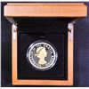 Image 2 : 60th Anniversary of the 1959 Half Dollar