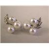 Image 1 : A PAIR OF 14K WHITE GOLD DIAMOND AND PEARL EARRINGS