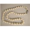 Image 1 : A STRAND OF SLIGHTLY GRADUATED PEARLS WITH A DIAMOND CLASP