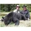 Image 3 : 5-day Vancouver Island Black Bear Hunt for One Hunter-Guided by Jim Shockey