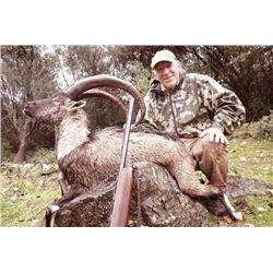 5-day Greece Kri-kri Ibex Hunt for One Hunter and One Observer
