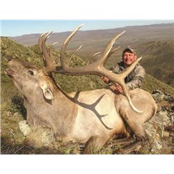 7-day Mongolian Altai Wapiti Hunt for One Hunter