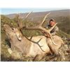 Image 1 : 7-day Mongolian Altai Wapiti Hunt for One Hunter