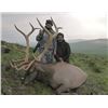 Image 5 : 7-day Mongolian Altai Wapiti Hunt for One Hunter