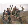 Image 6 : 7-day Mongolian Altai Wapiti Hunt for One Hunter
