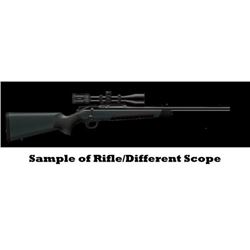 Blaser R8 Professional Hunter