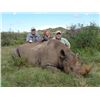 Image 1 : 7-day South Africa Black Rhino Vita-Dart Safari for One Hunter and One Observer