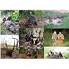 Image 1 : 14-day Central African Republic Hunt for One Hunter and One Observer