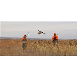 20 Bird Guide hunt at The Bluffs