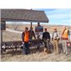 Image 2 : Upland Bird Hunt for 4 Hunters at Rocky Mountain Roosters