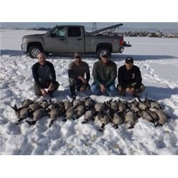 Northern Colorado Goose Hunt for 2