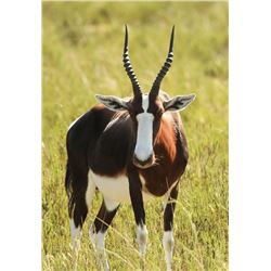 10 Day Hunt for 4 Hunter Mpumalnga Province in South Africa