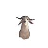 White Catalina Goat Taxidermy Mount