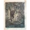 19thc Engraving, Jungle Gorilla Ape