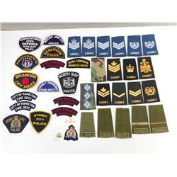 ASSORTED EPAULETTES & BADGES