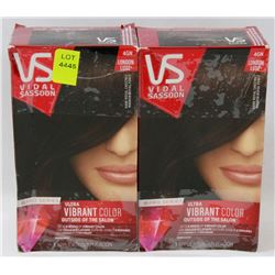 BUNDLE OF TWO HAIR COLOURS