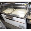 Image 1 : TWO DOOR TOP REACH IN ICE CREAM FREEZER