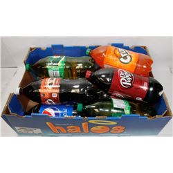 LOT OF 10 ASSORTED BOTTLES (2L) OF POP