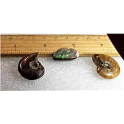 13)  LOT OF 2 NATURAL AMMONITE