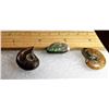 Image 1 : 13)  LOT OF 2 NATURAL AMMONITE