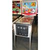 Image 1 : FUN CRUISE BY BALLY PINBALL MACHINE