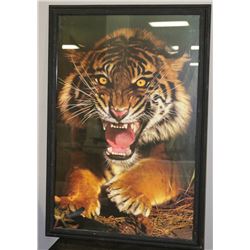FRAMED TIGER PRINT 26X40.