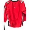 Image 6 : 2004 TEAM CANADA WORLD CUP HOCKEY JERSEY (TEAM SIGNED) W/ IGINLA/ LUONGO/ LECAVALIER & MANY MORE...