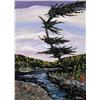 Image 1 : STUDY OF A PINE, TEA LAKE, ALGONGUIN PARK