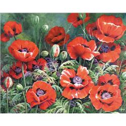 POPPIES