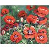 Image 1 : POPPIES