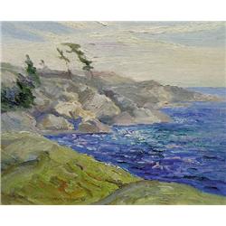 ROCKY COVE NEAR VICTORIA BC