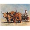 Image 1 : BOB BEAL AND HIS TEAM OF OXEN