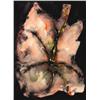 Image 1 : HYBISCUS