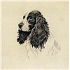 Image 1 : THREE DOG ETCHINGS
