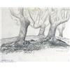 Image 1 : BEECH TREES, EPPING FOREST