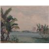 Image 1 : FLORIDA LANDSCAPE