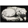 Image 1 : THE BLACK CAT