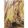 Image 1 : UNTITLED; TREE TRUNK