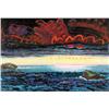 Image 1 : STORM FRONT, THE LABRADOR