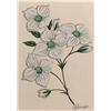 Image 1 : DOGWOOD