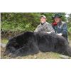 Image 1 : 5-day Vancouver Island Black Bear Hunt for One Hunter-Guided by Jim Shockey