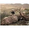 Image 3 : 7-day Mongolian Altai Wapiti Hunt for One Hunter
