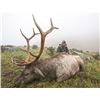 Image 4 : 7-day Mongolian Altai Wapiti Hunt for One Hunter