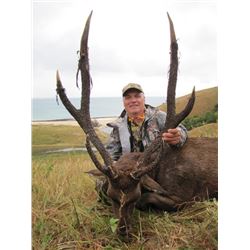 5-day Marble Island Javan Rusa Stag Hunt for One Hunter and One Observer