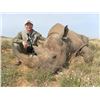 Image 2 : 7-day South Africa Black Rhino Vita-Dart Safari for One Hunter and One Observer