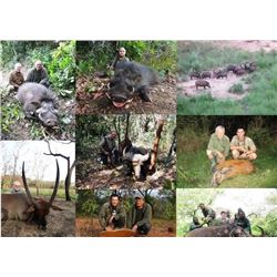 14-day Central African Republic Hunt for One Hunter and One Observer