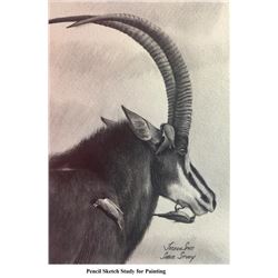 Original Oil on Canvas