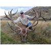 Image 2 : 5-day New Zealand Red Stag up to 400 SCI for Two Hunters and Two Observers