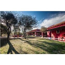 3-day Argentina Dove Hunt for Eight Hunters